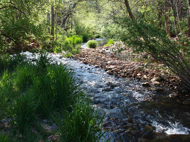 6th Grade Science Camp