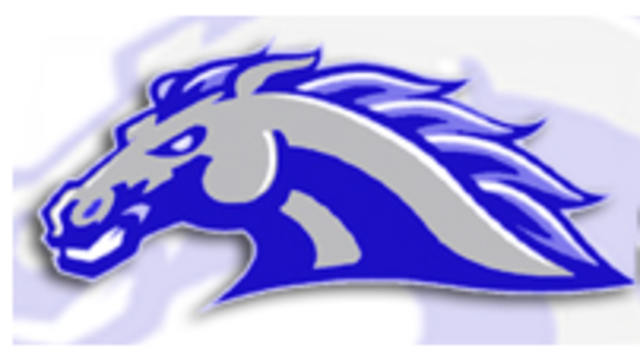 Starting Mesquite Jr