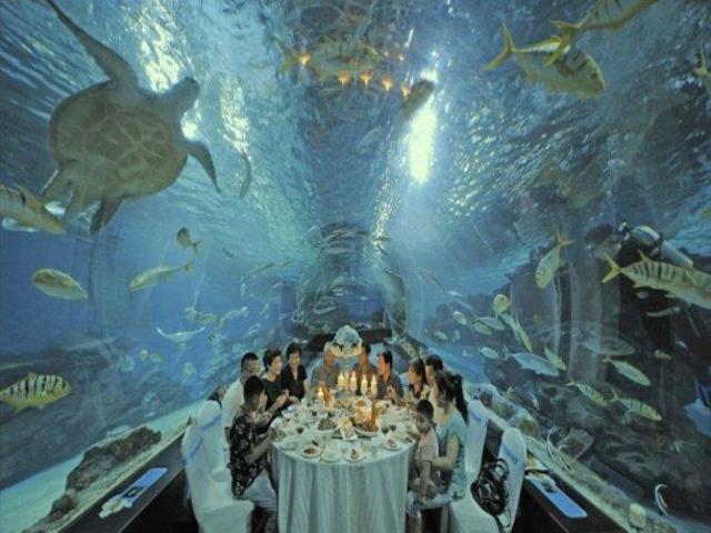 Turismo de los Acuarios