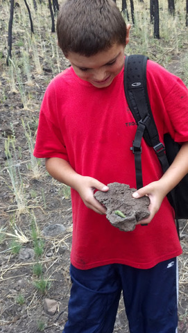 hiking with family and friends