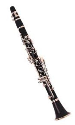 Started playing a instrement