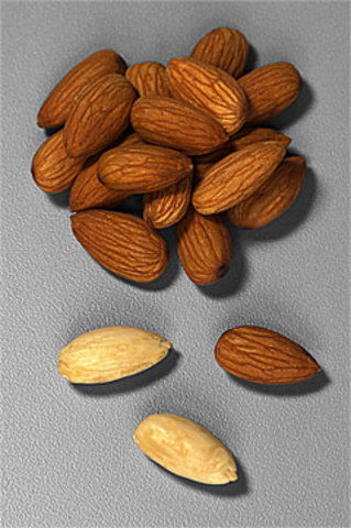 Salmonella, Paramount Farms