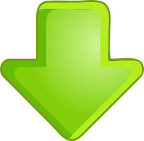 Actividades durante el curso