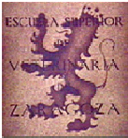 Se crea la primera Escuela Veterinaria en el mundo