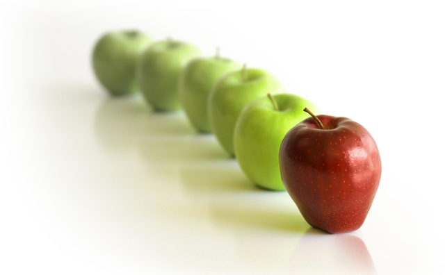 School Choice Movement