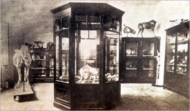 Segunda Escuela de Medicina Veterinaria