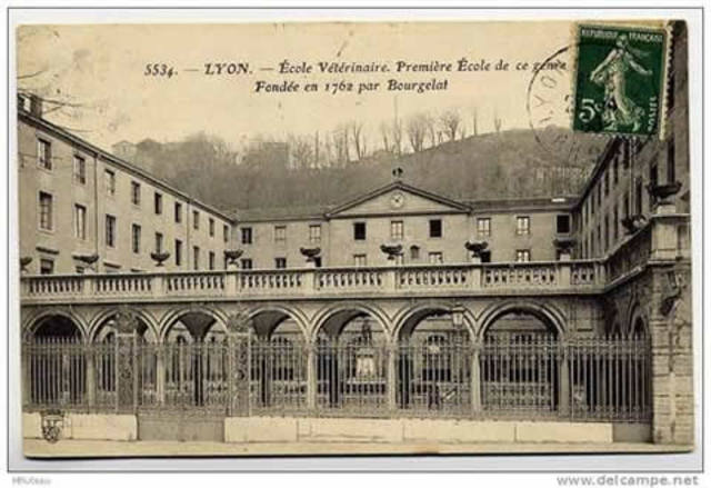 PRIMERA ESCUELA VETERINARIA