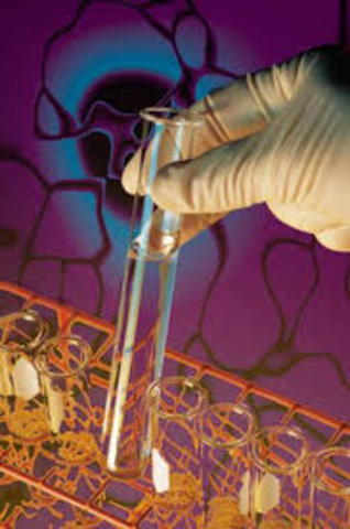 terapias efectivas antimicrobianas