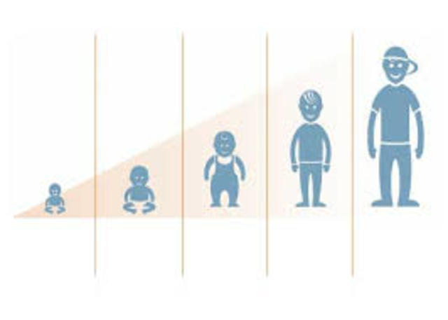 Nño como ser biologico y social