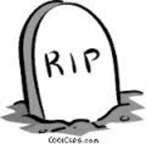 Mi primero perro murió.