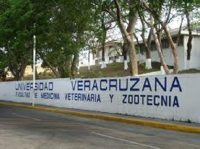 Estado de veracruz