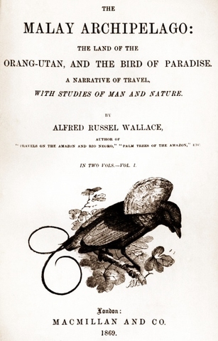 Published "The Malay Archipelago"