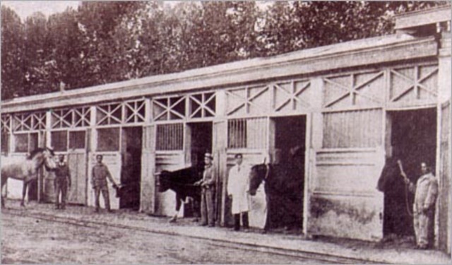 escuela nacional de agricultura y veterinaria