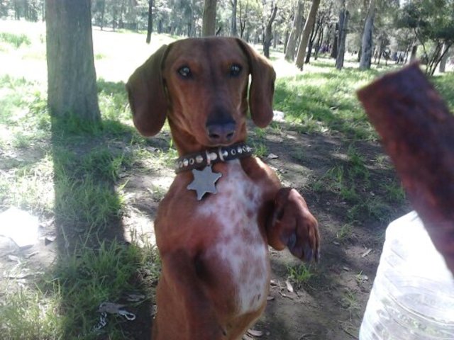 Actualmente vivo sola