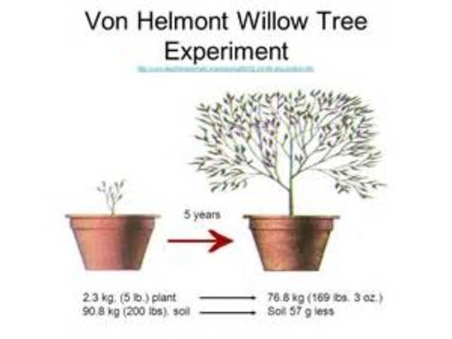 Jan Baptist van Helmont