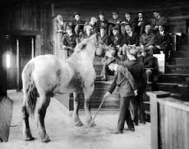 colegio veterinario en china