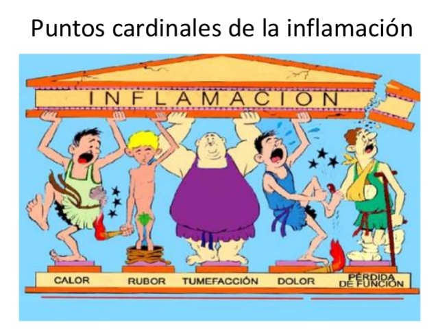 Descubrimiento de volumenes quehablan sobre los puntos cardinales