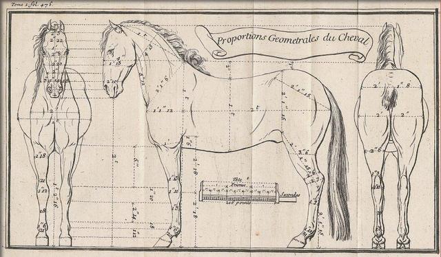 Escuela Real de Alfort