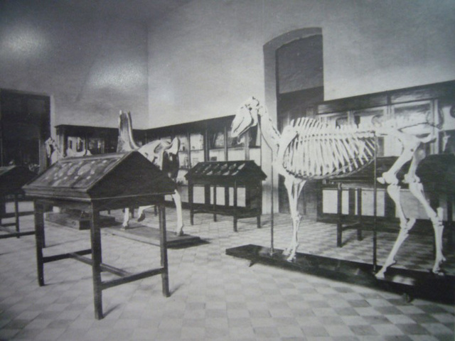 Primera escuela de veterinaria en españa