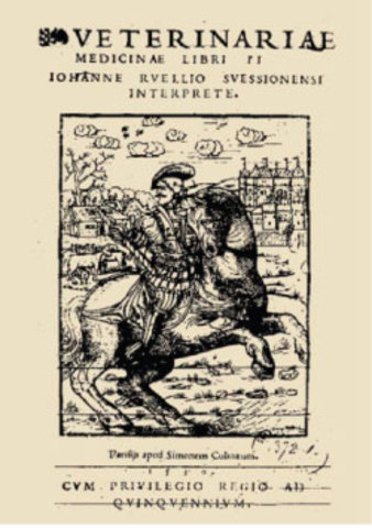 Primera escuela especializada en caballos