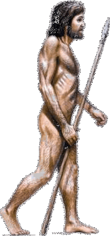 Homo sapiens sapiens