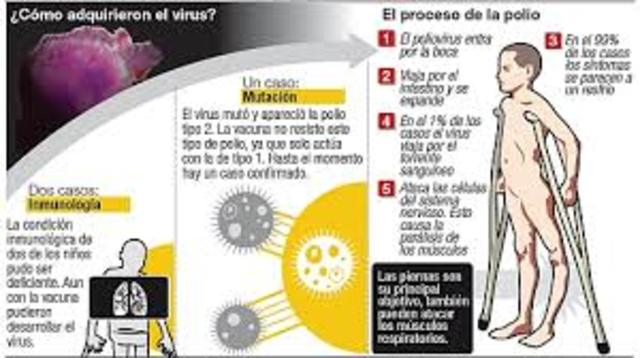 Ultima fase para la radicacion de la infeccion del polio