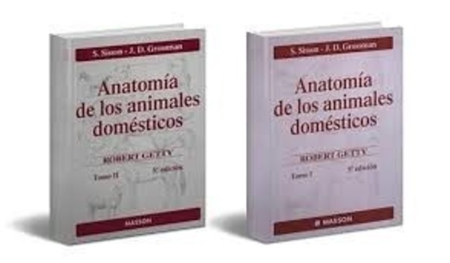 ANATOMIA DE LOS ANIMALES DOMESTICOS