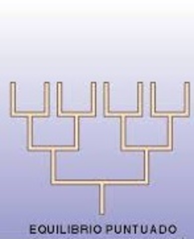 Teoría del equilibrio puntado