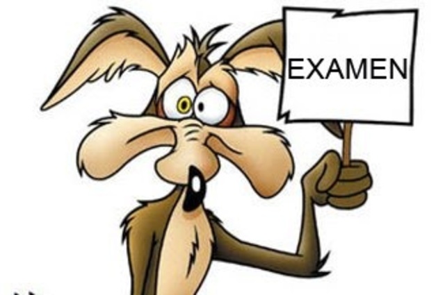 9.- Aplica extraordinarios