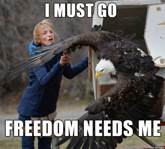 Declaration of Independenc