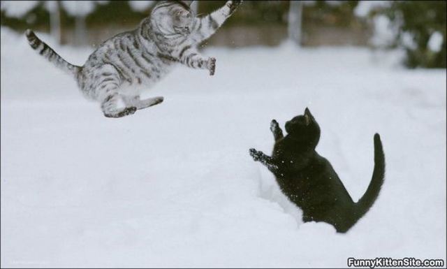 Washington’s Christmas night surprise attack