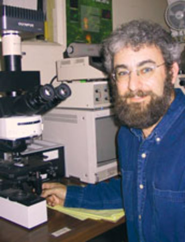 Jed Fuhrman y Edward DeLong. descubrimiento arqueas marinas