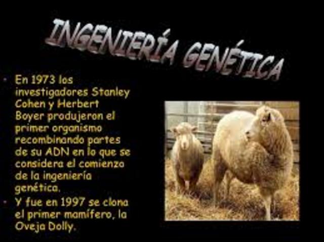 Oveja Polly primer mamífero clonado