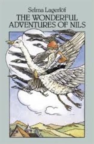 The Wonderful Adeventure of Nils