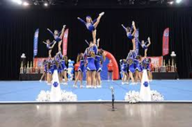 Competicion de animación