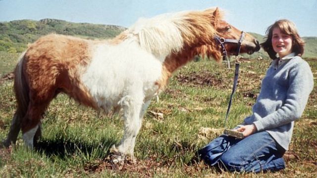 Prince Charles first met Diana