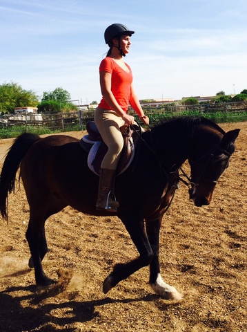 Mi caballo perfecto