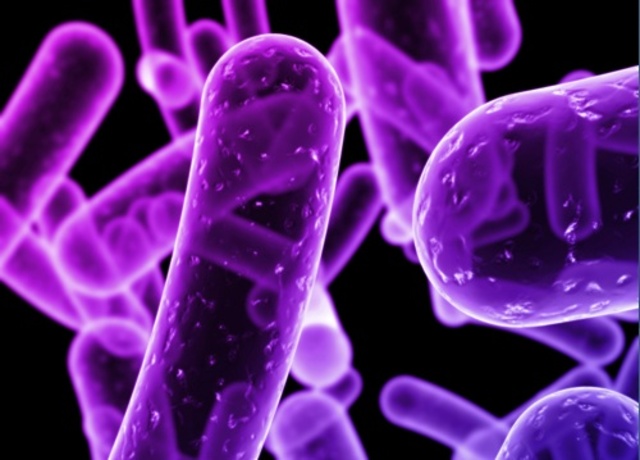 Historia de la microbiologia