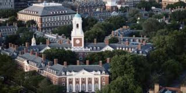 Harvard university