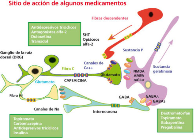 Inicio de la Telemática