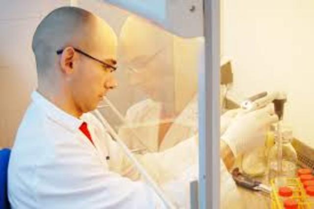 COMPUESTO QUE IMPIDE LA POLIFERACION DEL VIRUS VIH