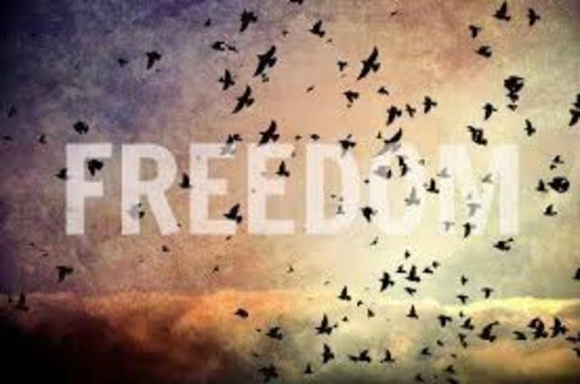 receive no real freedom