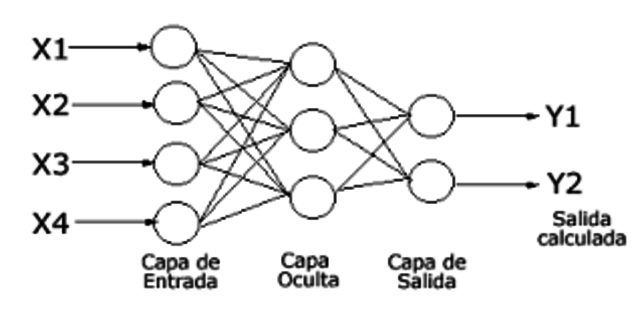 Warren McCulloch y Walter Pitts