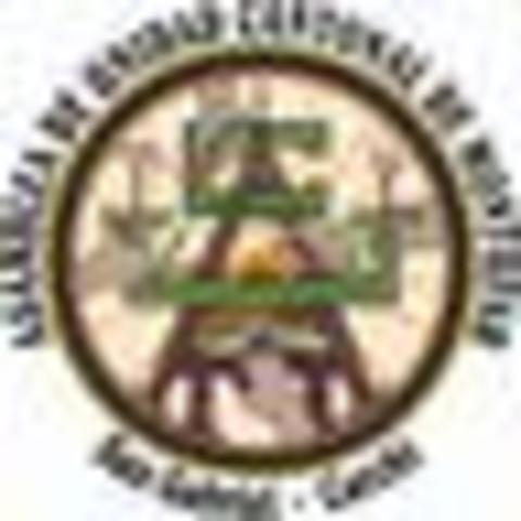 El Sistema Satelital Simón Bolívar