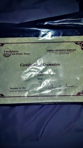 in loving memory of bessy