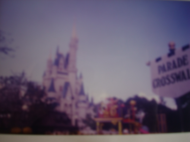 Mi Primer Viaje a Disney