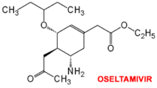 Descubrimiento de la vacuna contra la influenza