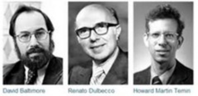 Descubrimiento de retrovirus y transcriptasa inversa