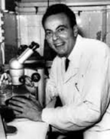 RNA mensajero y ribosomas como lugar de síntesis de proteínas