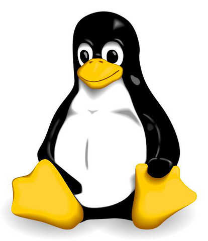 lenguaje de programa nucleo linux